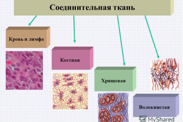 Омг даркмаркет